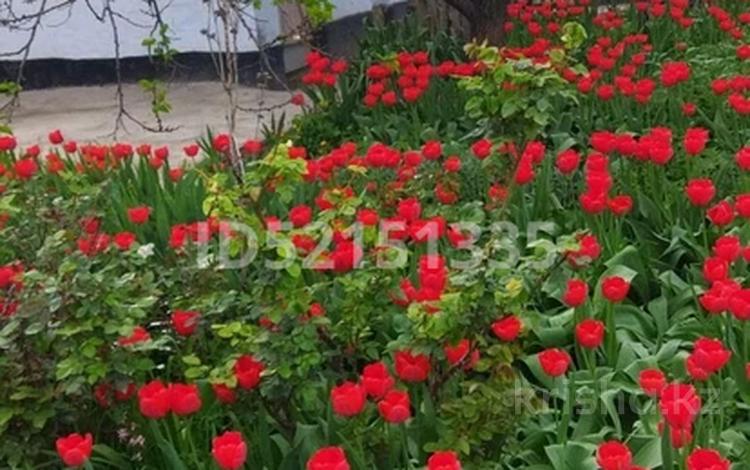 Жеке үй · 5 бөлме · 100 м² · 8 жүзд., Ул.теректи 36, бағасы: 28 млн ₸ в Шымкенте, Абайский р-н — фото 41
