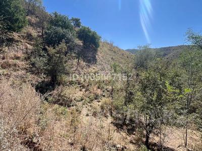 Участок · 10 соток, Мантажник 1 за 6 млн 〒 в 