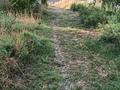 Участок · 12 соток, мкр Азат — Ақжол көшесі,жолдың бойы за 12 млн ₸ в Шымкенте, Енбекшинский р-н — фото 4