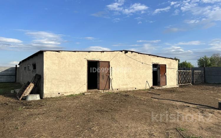 Еркін, ауыл шаруашылығы · 300 м², бағасы: 7 млн ₸ в Новодолинский — фото 2