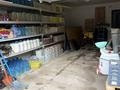 Жеке үй · 5 бөлме · 280 м² · 20 жүзд., Барыс — С.Тепличное, бағасы: 295 млн ₸ в Петропавловске — фото 26