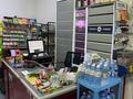 Магазины и бутики · 136 м² за 800 000 ₸ в Астане, Нура р-н