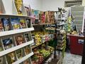 Магазины и бутики · 136 м² за 800 000 ₸ в Астане, Нура р-н — фото 11