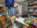 Продуктовый магазин · 60 м², бағасы: 15 млн ₸ в Актау, 26-й мкр — фото 10