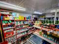 Продуктовый магазин · 60 м², бағасы: 15 млн ₸ в Актау, 26-й мкр — фото 6