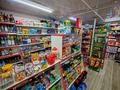 Продуктовый магазин · 60 м², бағасы: 15 млн ₸ в Актау, 26-й мкр — фото 8
