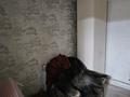 Часть дома · 3 комнаты · 50 м² · 1.5 сот., Рыскулбекова 2 — Рыскулбекова Навои за 350 000 ₸ в Алматы, Бостандыкский р-н — фото 9