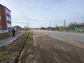 Жеке үй · 2 бөлме · 53 м² · 11 сот., Тауелсіздің 97 — Центр, бағасы: 7.5 млн ₸ в  — фото 3