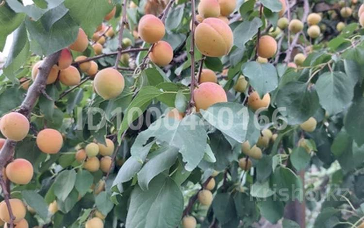 Саяжай · 2 бөлме · 30 м² · 8.41 сот., Кайназаровский массив, садоводческое товарищество "Восток", бағасы: 5.9 млн 〒 в  — фото 2