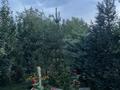 Отдельный дом · 1 комната · 52 м² · 6 сот., Заря 2007 102 за 26 млн ₸ в  — фото 14