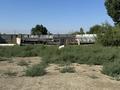 Ауыл шаруашылығы · 50 м², бағасы: 35 млн ₸ в  — фото 12