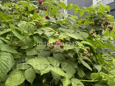 Отдельный дом · 8 комнат · 375 м² · 11 сот., Урицкого 19 — Тарана Урицкого за 168 млн 〒 в Костанае