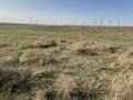 Участок · 10 соток, Новостройки-2 501 — Поворот возле мечети за 8 млн ₸ в Касымбек датка — фото 14