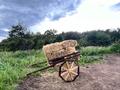 Участок · 21 сотка, Момышулы 10Г за 70 млн 〒 в Акбулак — фото 4