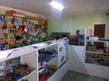 Еркін · 260 м², бағасы: 100 000 〒 в Талдыкоргане — фото 7