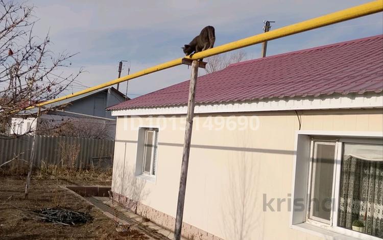 Жеке үй · 4 бөлме · 80 м² · 10 жүзд., Жасұлан 10, бағасы: 7.2 млн ₸ в Кандыагаш — фото 2