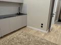 2-бөлмелі пәтер · 40 м² · 1/9 қабат, Старый аэропорт 13, бағасы: 19 млн ₸ в Кокшетау — фото 11