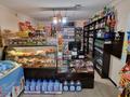 Магазины и бутики • 60 м² за 32 млн 〒 в Павлодаре — фото 7