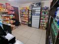 Магазины и бутики • 75 м² за 32 млн 〒 в Павлодаре — фото 9