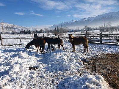 Отдельный дом · 3 комнаты · 71 м² · 100 сот., Пролетарская за 10 млн 〒 в Риддере