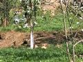 Отдельный дом · 4 комнаты · 120 м² · 10 сот., Байтурсын 4 — ШКВХ ТЕРР.КОЛЛЕДЖ за 31.2 млн ₸ в Шамалгане