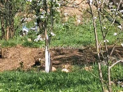 Отдельный дом · 4 комнаты · 120 м² · 10 сот., Байтурсын 4 — ШКВХ ТЕРР.КОЛЛЕДЖ за 31.2 млн ₸ в Шамалгане