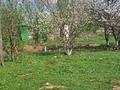 Отдельный дом · 4 комнаты · 120 м² · 10 сот., Байтурсын 4 — ШКВХ ТЕРР.КОЛЛЕДЖ за 31.2 млн ₸ в Шамалгане — фото 2