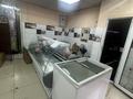 Еркін · 280 м², бағасы: 80 млн ₸ в Караганде, Алихана Бокейханова р-н — фото 17