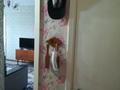4-бөлмелі пәтер · 60 м² · 3/5 қабат, Михаэлиса, бағасы: 29 млн ₸ в Усть-Каменогорске, Ульбинский — фото 9