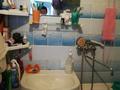 4-бөлмелі пәтер · 60 м² · 3/5 қабат, Михаэлиса, бағасы: 29 млн ₸ в Усть-Каменогорске, Ульбинский — фото 14