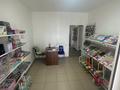 Действующий бизнес магазин игрушек, 63 м² за 7.5 млн 〒 в  — фото 5