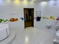 Отдельный дом · 9 комнат · 472 м² · 4 сот., 6 линия 217 за 270 млн ₸ в Алматы, Наурызбайский р-н — фото 32