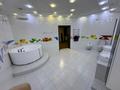 Отдельный дом · 9 комнат · 472 м² · 4 сот., 6 линия 217 за 270 млн ₸ в Алматы, Наурызбайский р-н — фото 33