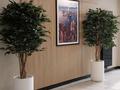 3-бөлмелі пәтер · 69.4 м² · 5/17 қабат, Турар Рыскулов 16/4 — EXPO, бағасы: 55 млн ₸ в Астане, Есильский р-н — фото 15