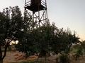 Часть дома · 6 комнат · 500 м² · 100 сот., Иса Байзаков — Акдала ауылы за 105 млн ₸ в Арыси — фото 9