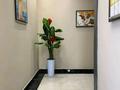 2-бөлмелі пәтер · 80 м² · 4/5 қабат, Квартал 190 1 — ЖК Престиж . Шымсити, бағасы: 52.5 млн ₸ в Шымкенте, Каратауский р-н — фото 24