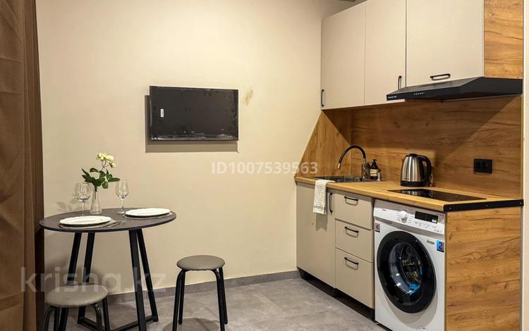 1-комнатная квартира · 26 м² · 1/2 этаж, Хмельницкого 12А за 180 000 〒 в Алматы, Турксибский р-н — фото 14