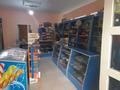 Магазины и бутики • 40 м² за 16.2 млн 〒 в Шымкенте — фото 11