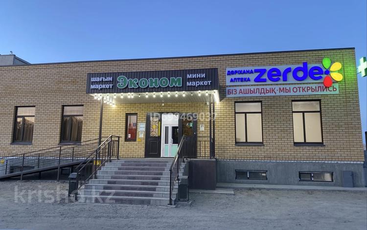 Свободное назначение · 280 м² за 10 000 ₸ в Семее — фото 6