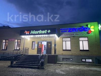 Свободное назначение · 280 м² за 10 000 ₸ в Семее