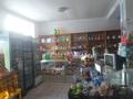 Магазины и бутики • 160 м² за 49.1 млн 〒 в Чапаеве — фото 4