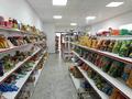 Магазины и бутики · 240 м² за 51 млн 〒 в Актобе, жилой массив Жанаконыс — фото 6