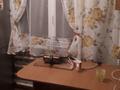 2-комнатная квартира · 47 м² · 1/5 этаж, Сванкулова 10 за 12 млн ₸ в Балхаше