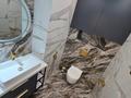 2-бөлмелі пәтер · 72 м² · 7/12 қабат, Нұрсәт ш/а, Аргынбекова 29/2к2 — Шаяхметов, бағасы: 39.5 млн ₸ в Шымкенте, Каратауский р-н — фото 8