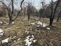 Жер телімі · 14.5 сотық, мкр Нур Алатау, бағасы: 250 млн ₸ в Алматы, Бостандыкский р-н — фото 9