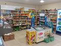 Магазины и бутики • 105 м² за 93 млн 〒 в Усть-Каменогорске — фото 6