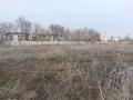 Участок · 90 соток, Макашевп 5 за 400 млн ₸ в Каскелене — фото 4
