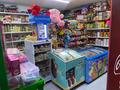 Магазины и бутики · 65 м² за 200 000 ₸ в Алматы, Турксибский р-н — фото 5
