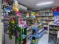 Магазины и бутики · 65 м² за 200 000 ₸ в Алматы, Турксибский р-н — фото 6