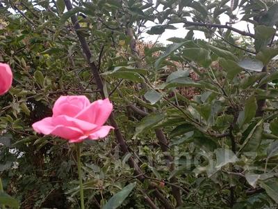 Часть дома · 3 комнаты · 54 м² · 2.5 сот., Малая станица — Мехкомбинат за 15.5 млн 〒 в Алматы, Медеуский р-н